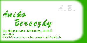 aniko bereczky business card